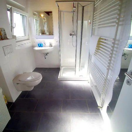 Nordsee-robbe *